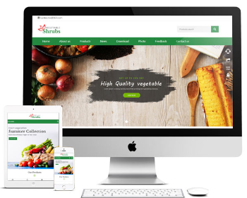 asp绿色响应式农业外贸英文企业网站源码 自适应手机端