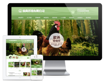 PHP绿色精美母鸡家禽养殖公司网站源码 带手机版