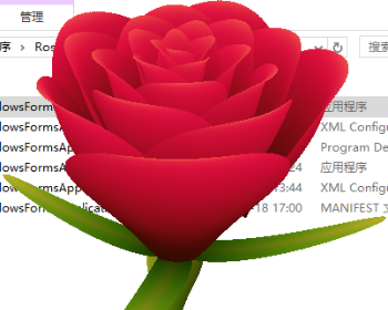 C#打开软件显示玫瑰花示例源码
