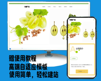帝国cms响应式英文外贸有机蔬菜农产品公司网站源码 自适应手机端