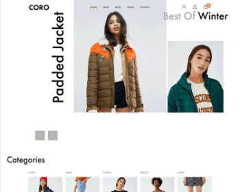 Shopify极简风Ins时尚服装跨境电商主题模板CORO