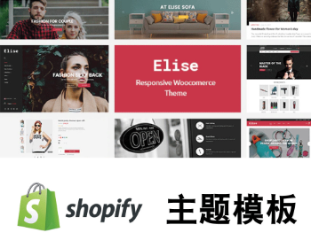 Shopify大气响应式外贸网店Dropshipping跨境电商主题模板Elise