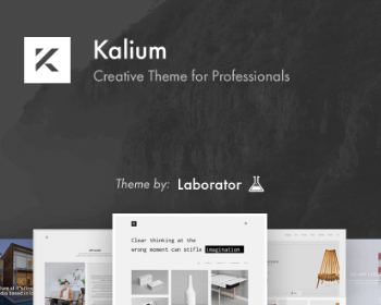 Wordpress创意响应式外贸企业主题模板Kalium