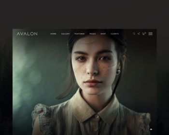 WordPress摄影作品案例展示企业网站主题模板Avalon