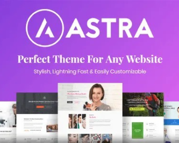 WordPress高性能多用途响应式企业网站主题模板Astra Pro