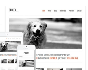 WordPress简洁风格新闻杂志网站主题模板Purity
